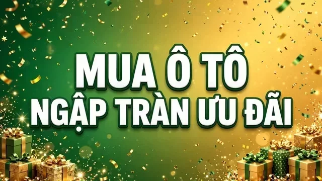 Kia Cà Mau - khu vực tư vấn xe Kia tại Cà Mau